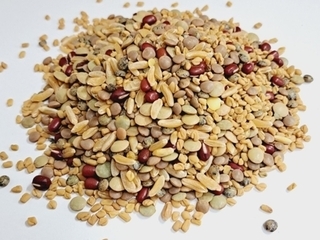 Sprouting - Ancient Blend